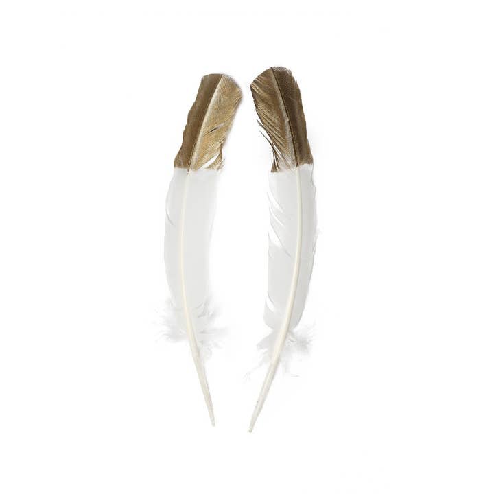 Zucker Feather Products - Wholesale Feathers - Metallic Gold Tipped White Turkey Quill Feathers 10-12"1