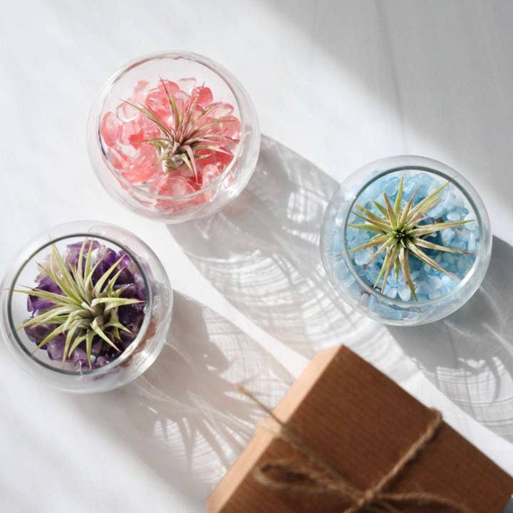 The Simply Crafty Shop - Wholesale Terrarium - Mini Bubble Terrarium Kit- Semi-Precious Stone