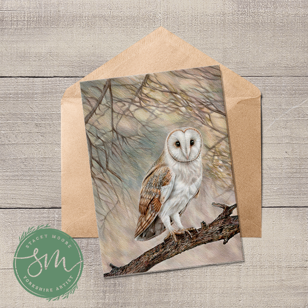 Stacey Moore Ltd - Wholesale Everyday Greeting Card - Barn Owl Greetings Card0
