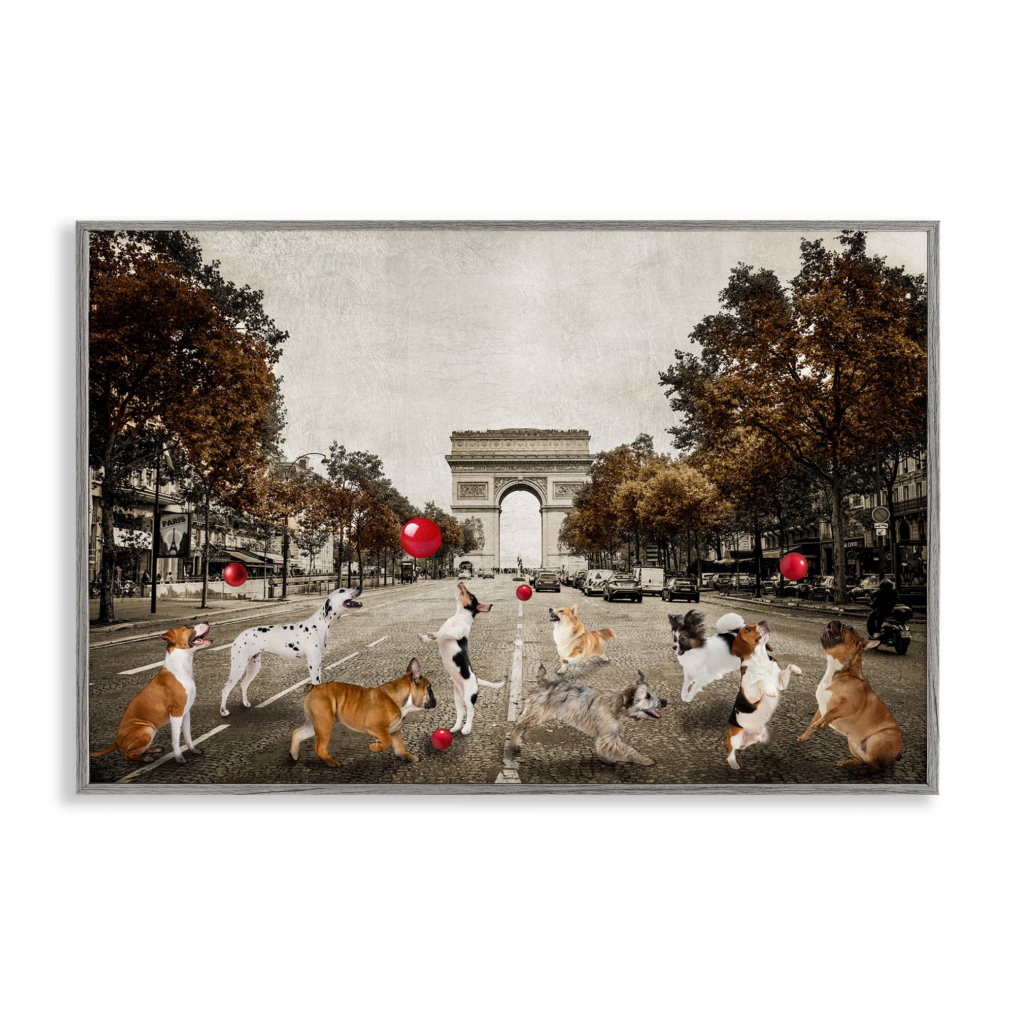 Stupell Industries - Wholesale Wall Sign - Dogs Playing Among Architecture - Framed Wall Art20