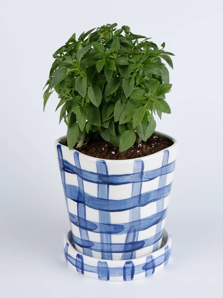 VICHY BLUE PLANTER for wholesale by Rhea Kalo