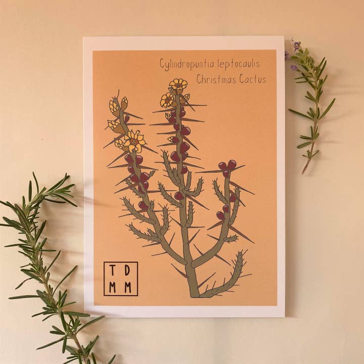 Biglietto di auguri natalizio con cactus per la vendita all'ingrosso da parte di Sonoran Witch Boy
