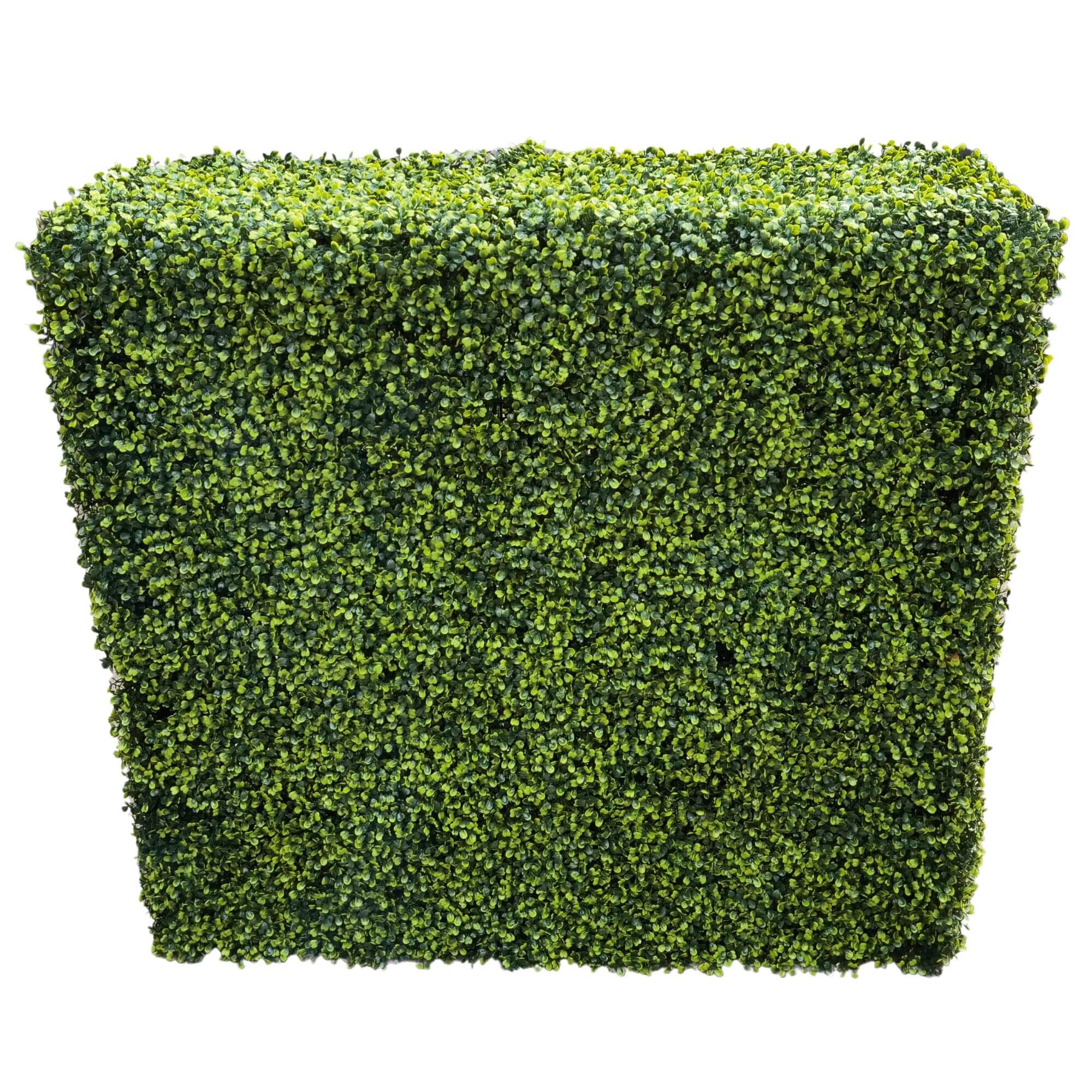 Designer Plants - Vente Plantes artificielles - Haie de Buis Artificielle Vert Clair Premium 30"L x 30"H Qualité Commerciale Résistante aux UV4