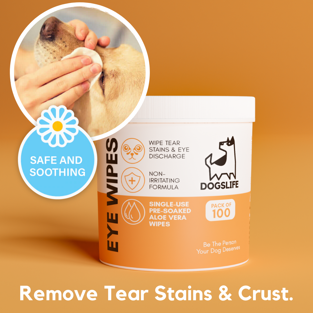 OurPetsLife - Venta al por mayor Artículo de aseo para mascotas - Perros - Toallitas para ojos para perros9