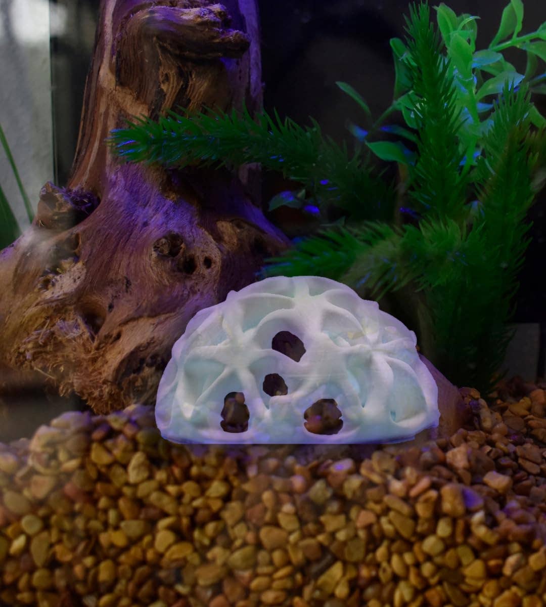 Chatelet – wholesale Decorative tabletop object – Chatelet REEFSHAPE - Dome Fish or Shrimp Aquarium Hideout | Aquarium Reef Decor & Viewing Dome | Made in USA13