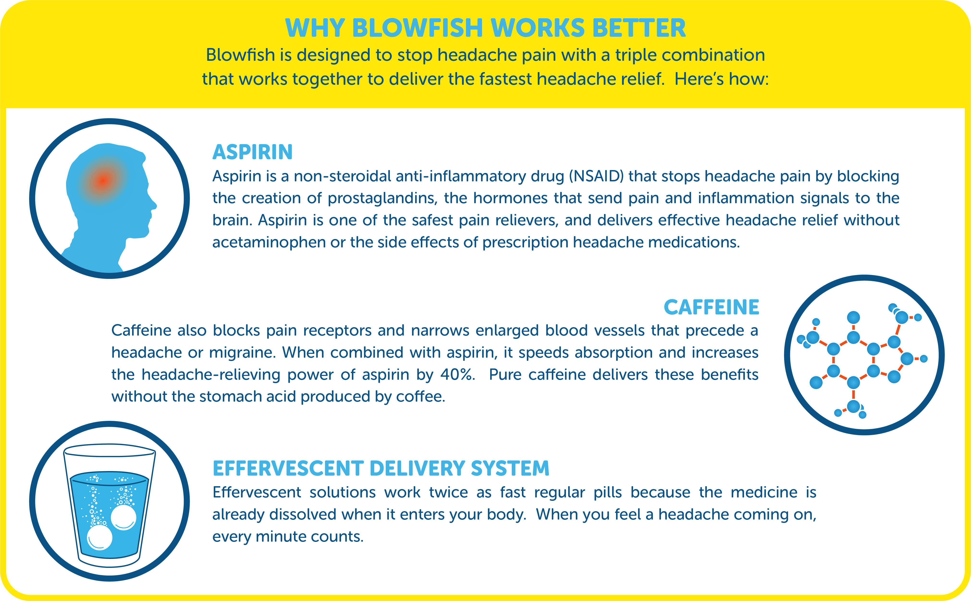 Blowfish for Hangovers - Wholesale Oral Supplement/Vitamin - Blowfish for Headaches7