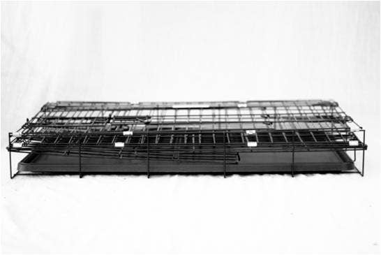 Julius K9 - Venta al por mayor Transportín - Gatos y perros - Kanesjob Jaula Plegable1