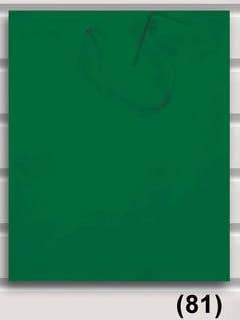 Gift Bag Green | CNGB | XLB | 22581 for wholesale by DICKENS INC.