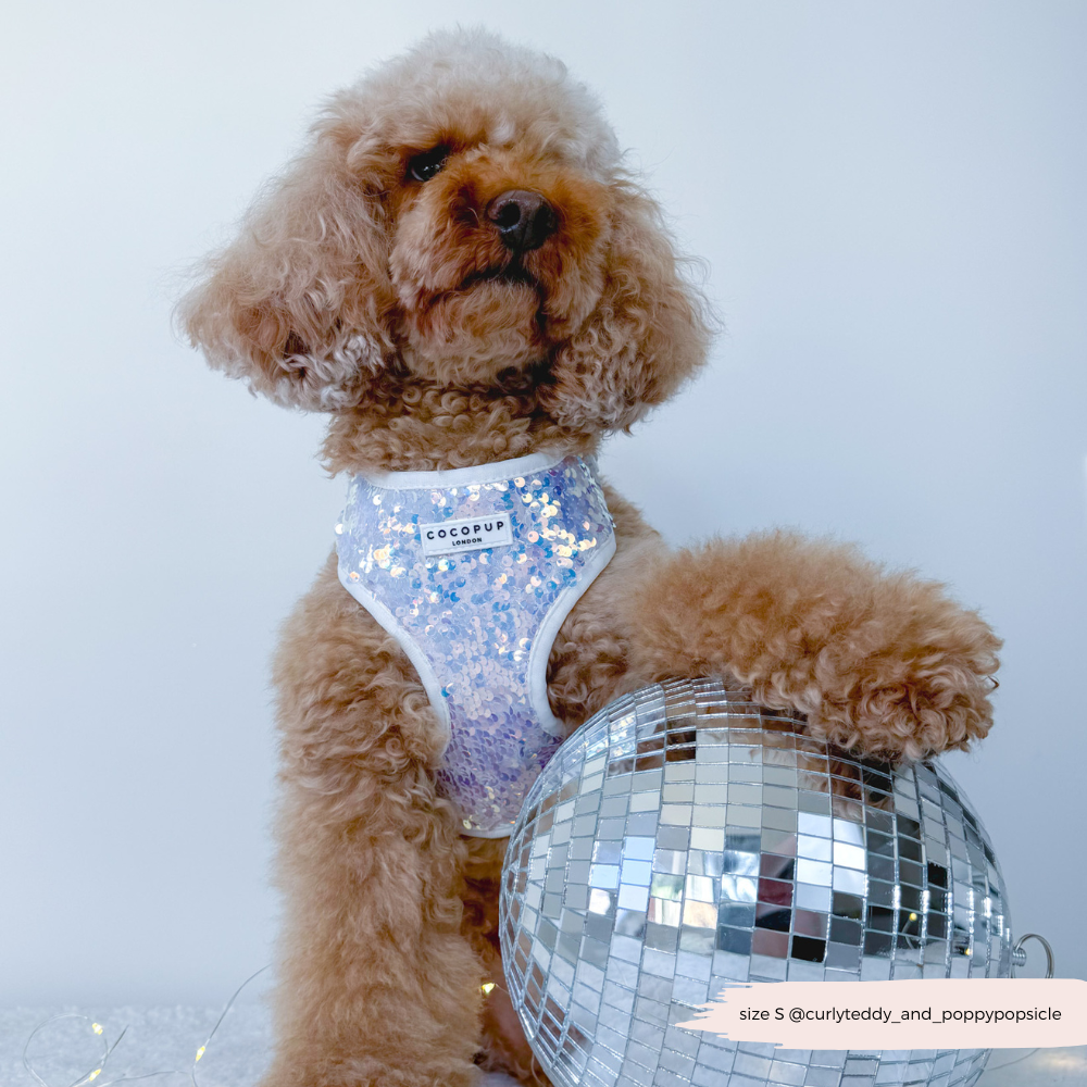Cocopup London - Vendita all'ingrosso Pettorina - Cani - Imbracatura LUXE Party con Paillettes Olografiche6