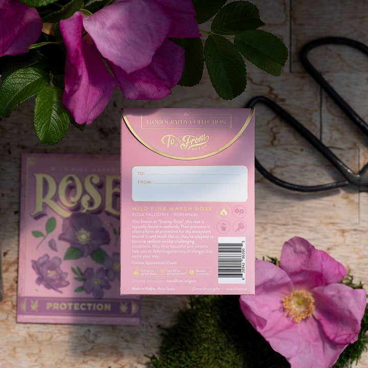 To & From Gift Co. - Wholesale Plant Seeds - Wild Pink Marsh Rose (Protection) - Floriography Seed Packet
