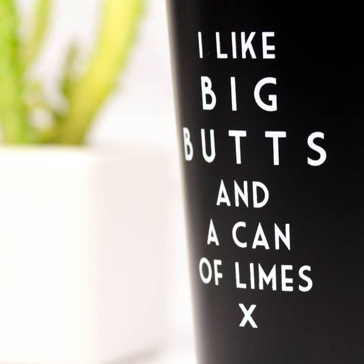 Meriwether - Wholesale Beer Glass/Mug - I like big butts... Misheard Lyrics Pint Glass. Case Pack of 6