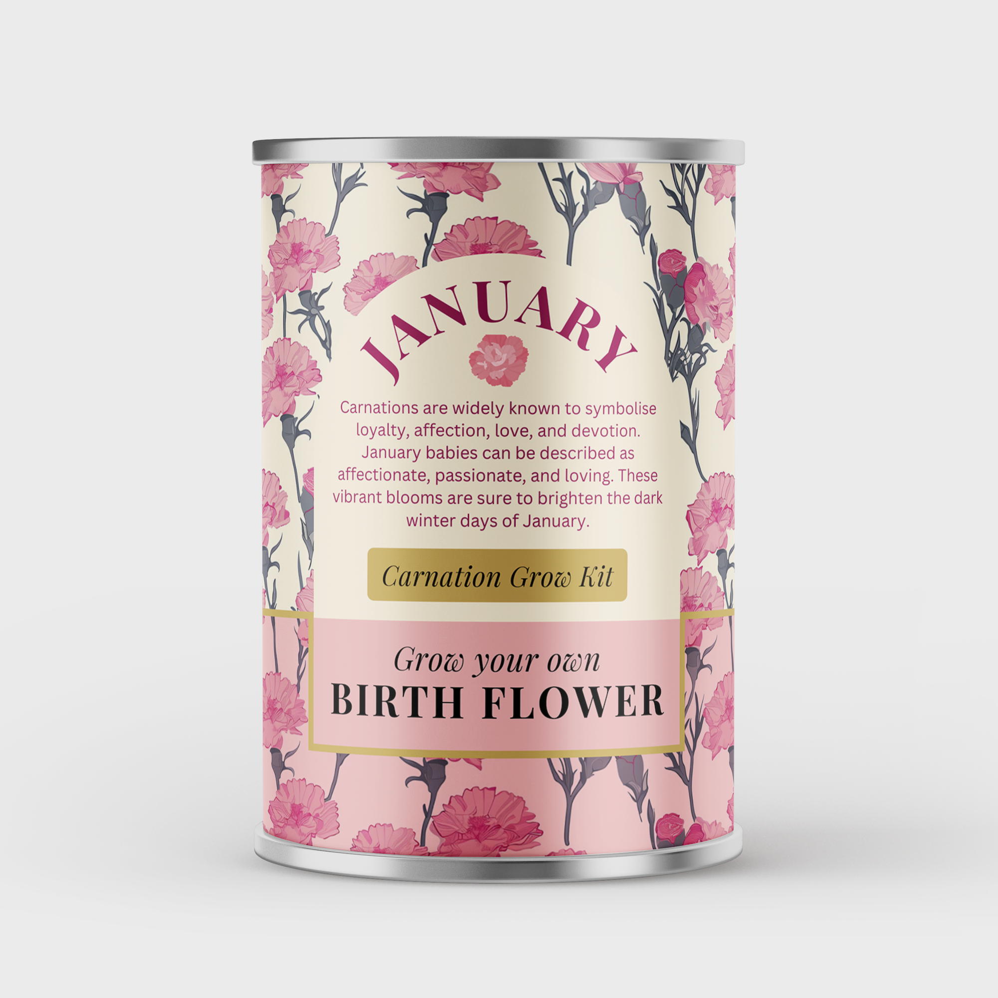 Alphabet Gifts – wholesale Plant seeds – January Birth Flower - Personalised Grow Your Own Flower Gif3