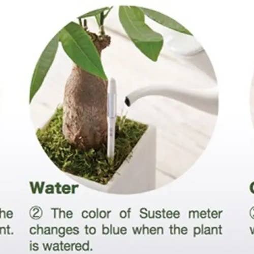 SUStee U.S. & Canada IPPINKA - Wholesale Garden Tool - Sustee Aquameter, Soil Moisture Meter (Green, Small)