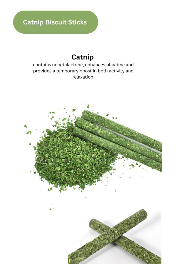 CATWANT - Venta al por mayor Juguete - Gatos - Palitos de galletas Silvervine Gall Fruit o Catnip, 8 unidades2