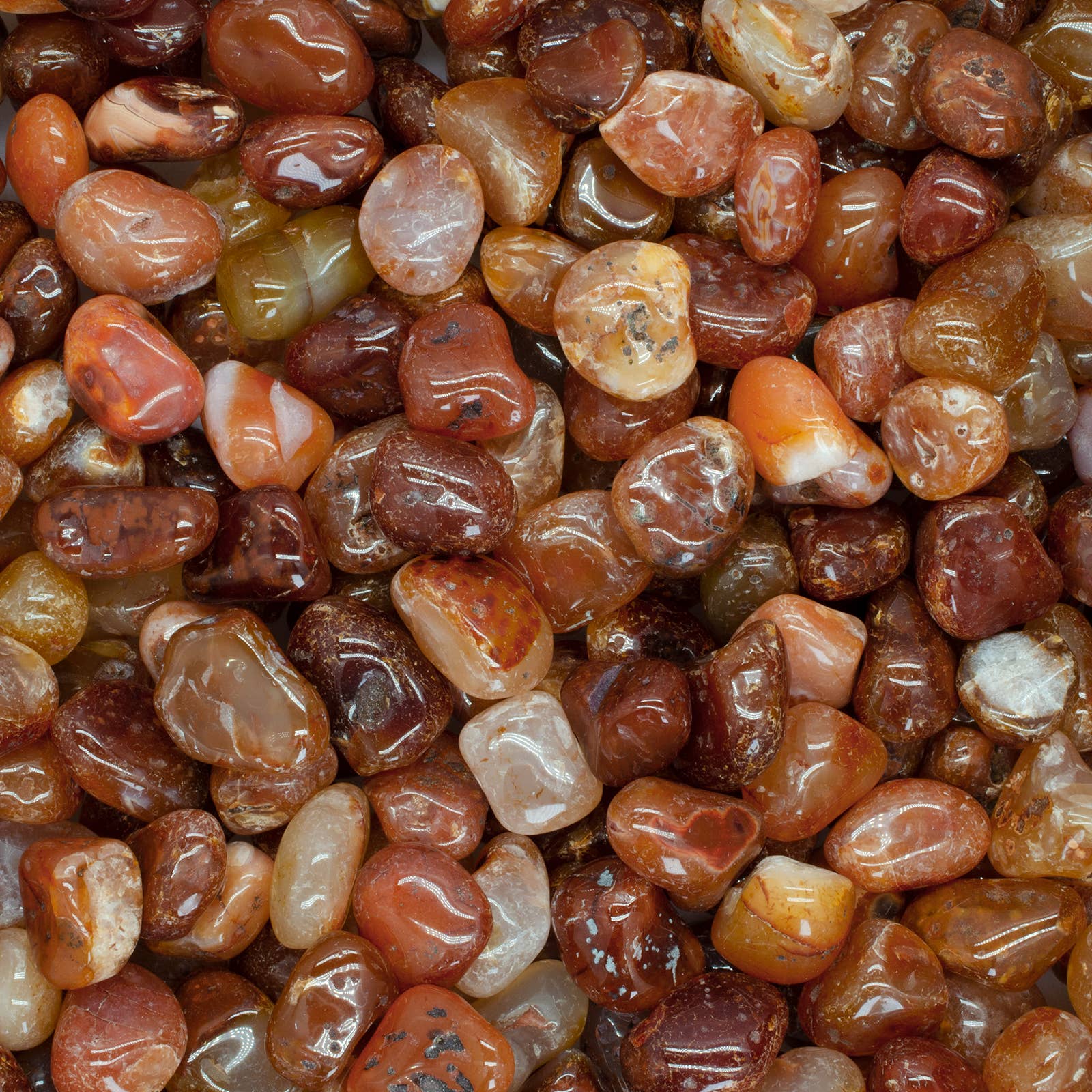 Fantasia Mining - Wholesale Spiritual Stone/Crystal - Tumbled Carnelian - S - B Grade - Brazil (1 lb)3