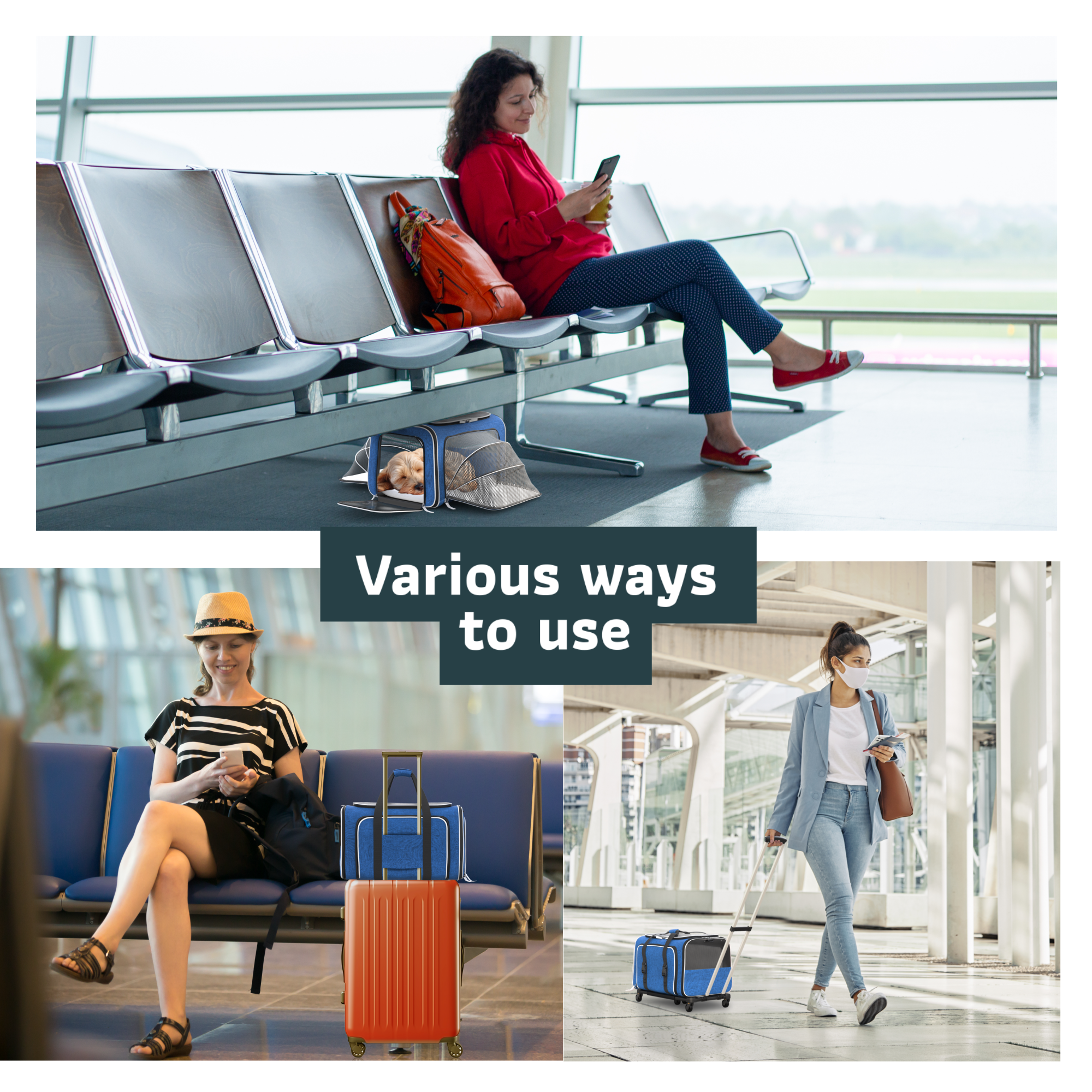 Katziela - Venta al por mayor Transportín - Gatos y perros - Transportadora para mascotas Katziela Rolling Rover con ruedas, expandable y autorizada para aerolíneas33