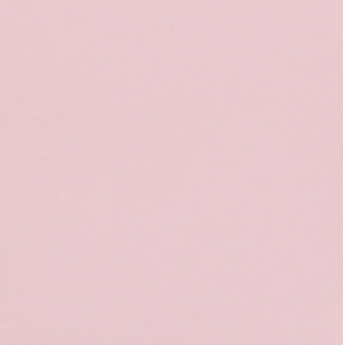 Buffalovely - Wholesale Food Storage Container - Eat Your Leftovers Silicone Bento Box- New Color Choices5