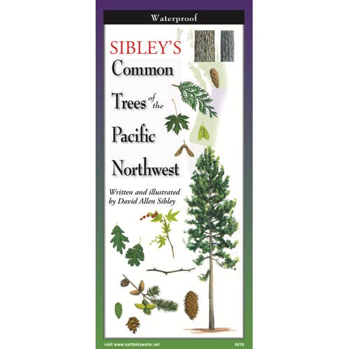 Earth Sky + Water - Wholesale Nature Guide - Sibley's Trees of Pacific Northwest