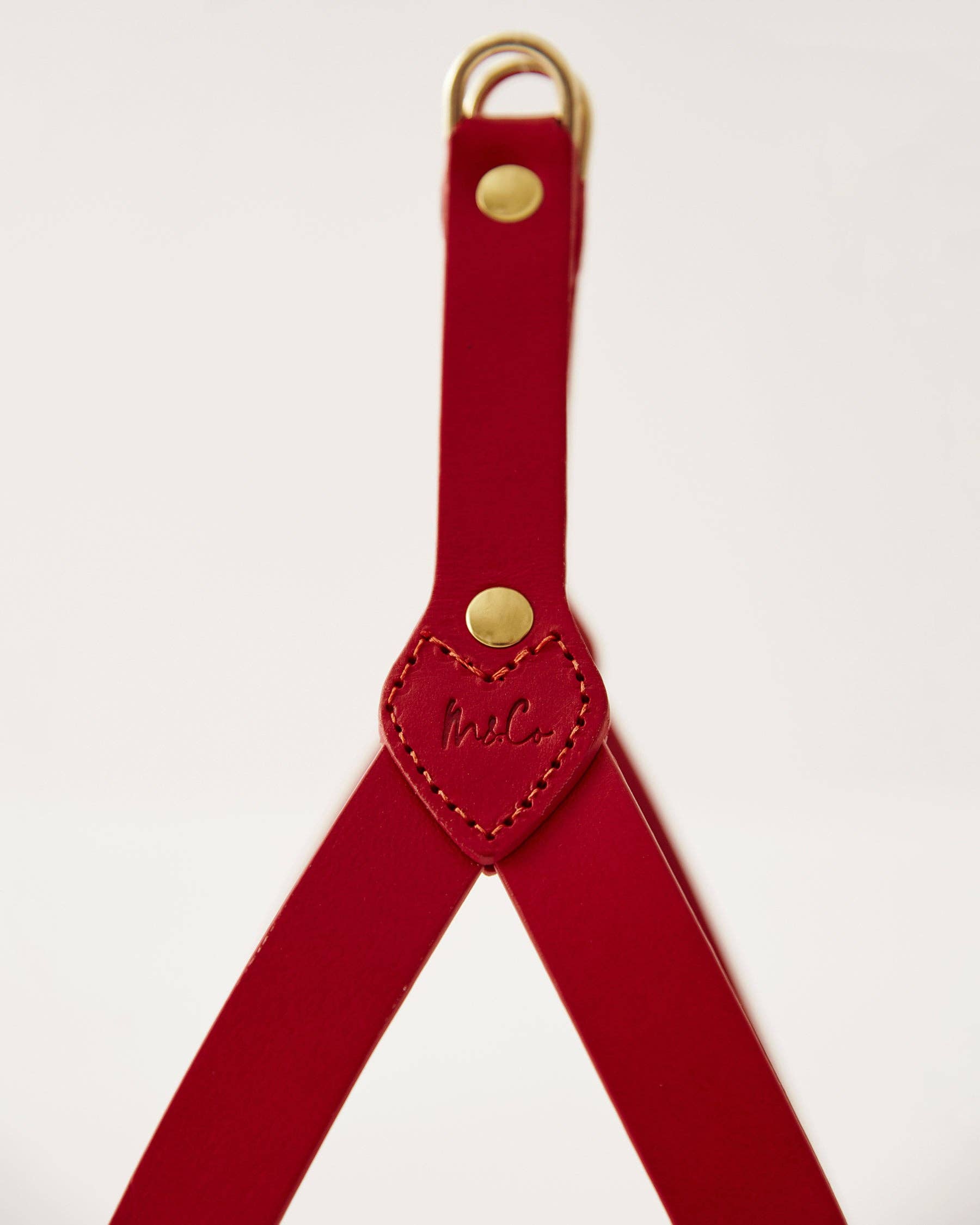 Muso & Co – Großhandel Haustiergeschirr – Hund – Klassisches Geschirr aus pflanzlich gegerbtem Leder27