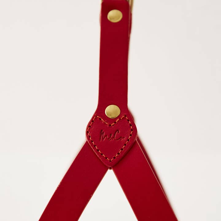 Muso & Co – Großhandel Haustiergeschirr – Hund – Klassisches Geschirr aus pflanzlich gegerbtem Leder27