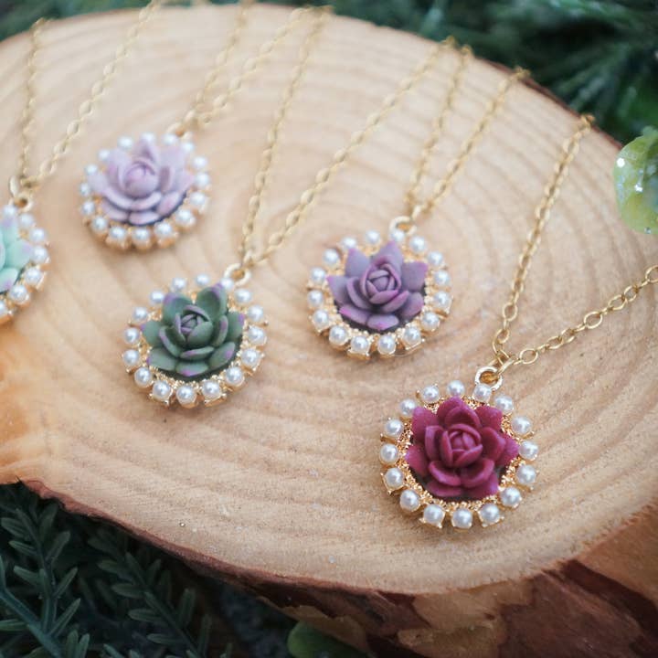 Collana succulenta delicata per la vendita all'ingrosso da parte di Colourful Blossom