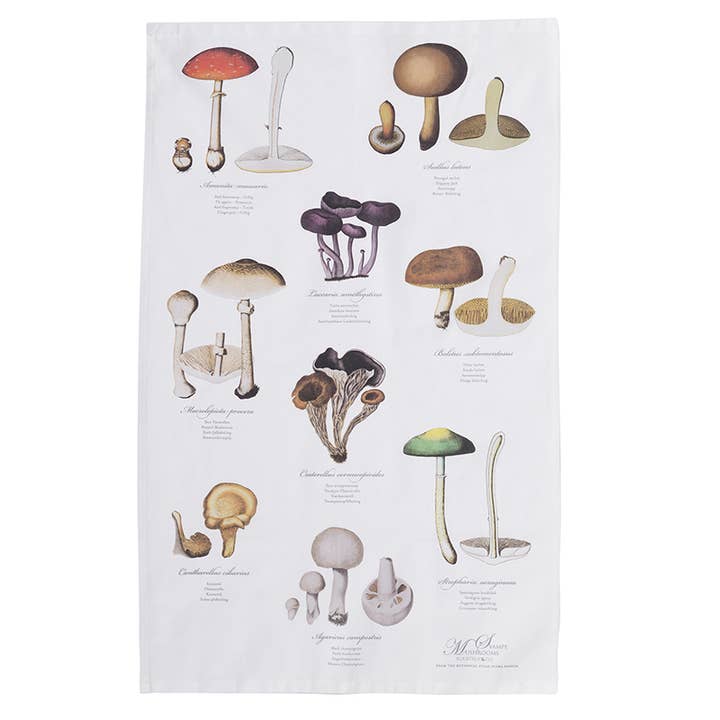 Koustrupco - Wholesale Tea Towel - Mushroom 100% organic cotton tea towel