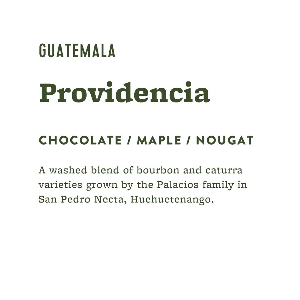 Great Circle Coffee - Wholesale Coffee Beans - Finca La Providencia - GUATEMALA - Medium Roast2