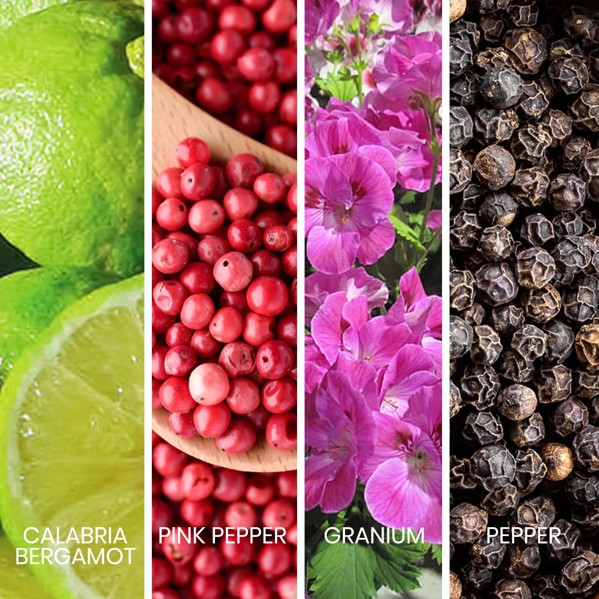 SWISS ARABIAN - Vendita all'ingrosso Profumi/Eau de toilette - Sapil Rave Eau de Toilette Profumo di Lusso per Uomo 100ml2