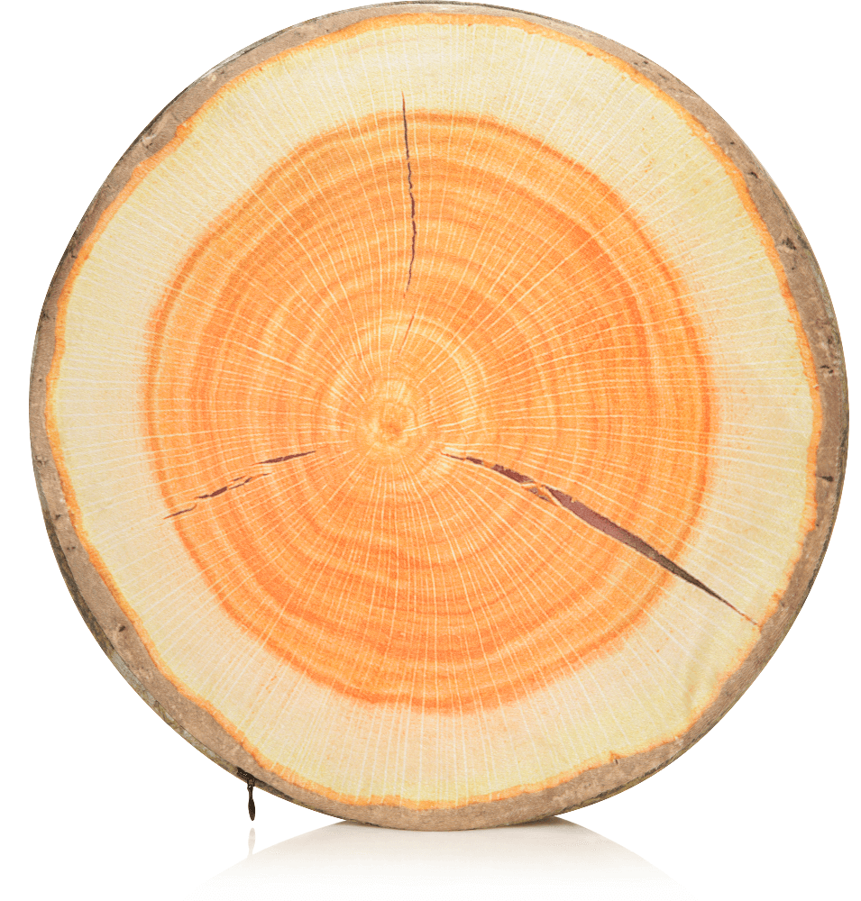 Husband Pillow - Vendita all'ingrosso Cuscini per letto - 360 - FETTA-REGISTRO-MAPL13