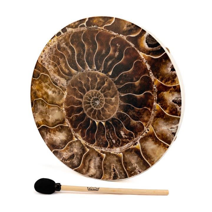 22" Sacred Geometry Ammonite White Buffalo Drum for wholesale by HK Higher Knowing
