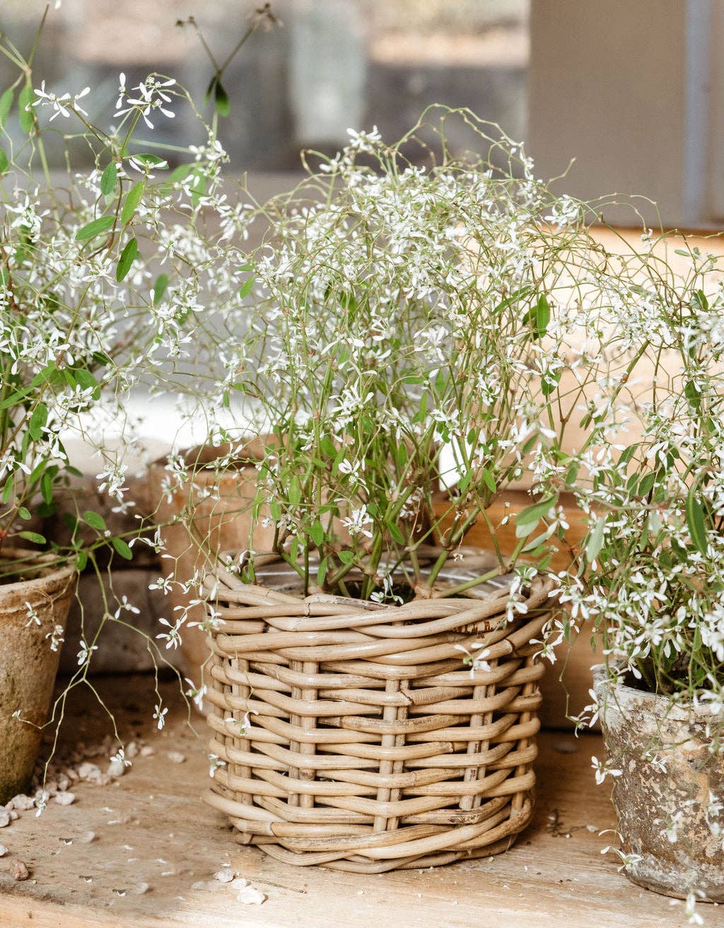 Basketly – Engroshandel Kurv – Rattan blomsterkurv med plastindsats3