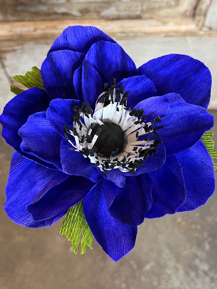 Blue Anemone for wholesale by Petals and Pearls Design