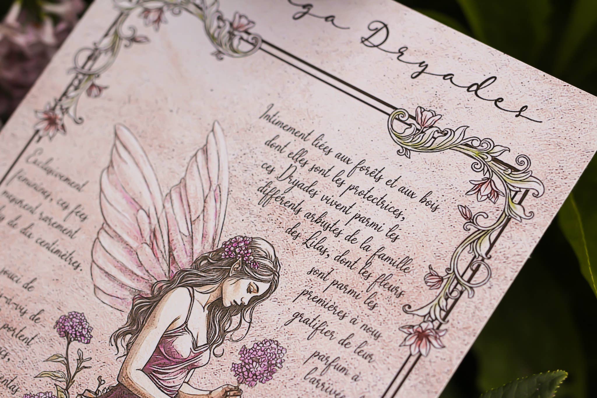 Faërie - Wholesale Art Print - Lilac Dryad6