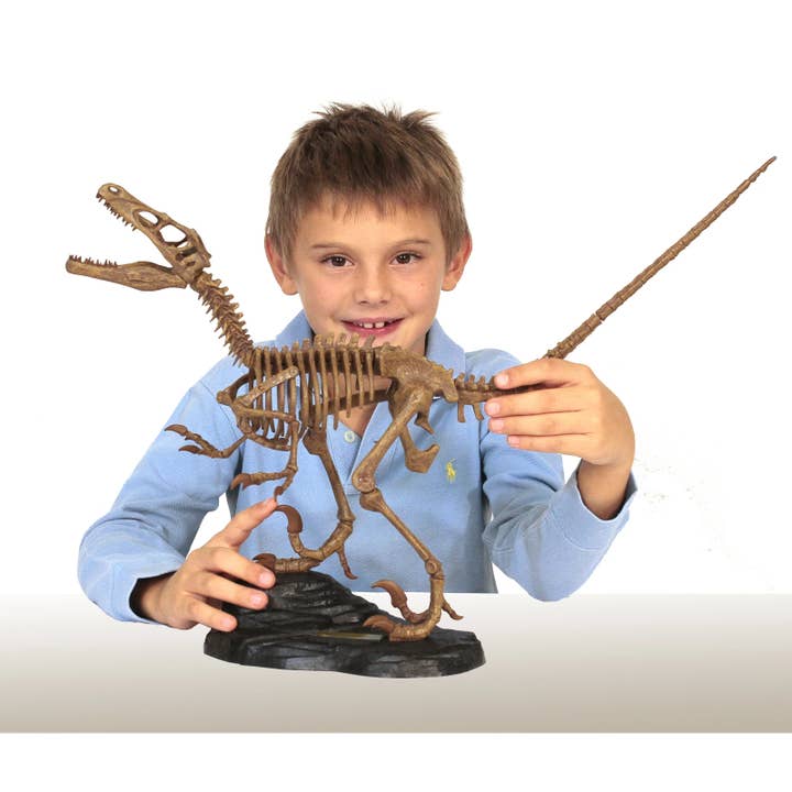 Safari Ltd. - Wholesale Build-a-Toy - Kids - GEOWorld Paleo Expeditions - Velociraptor Kit