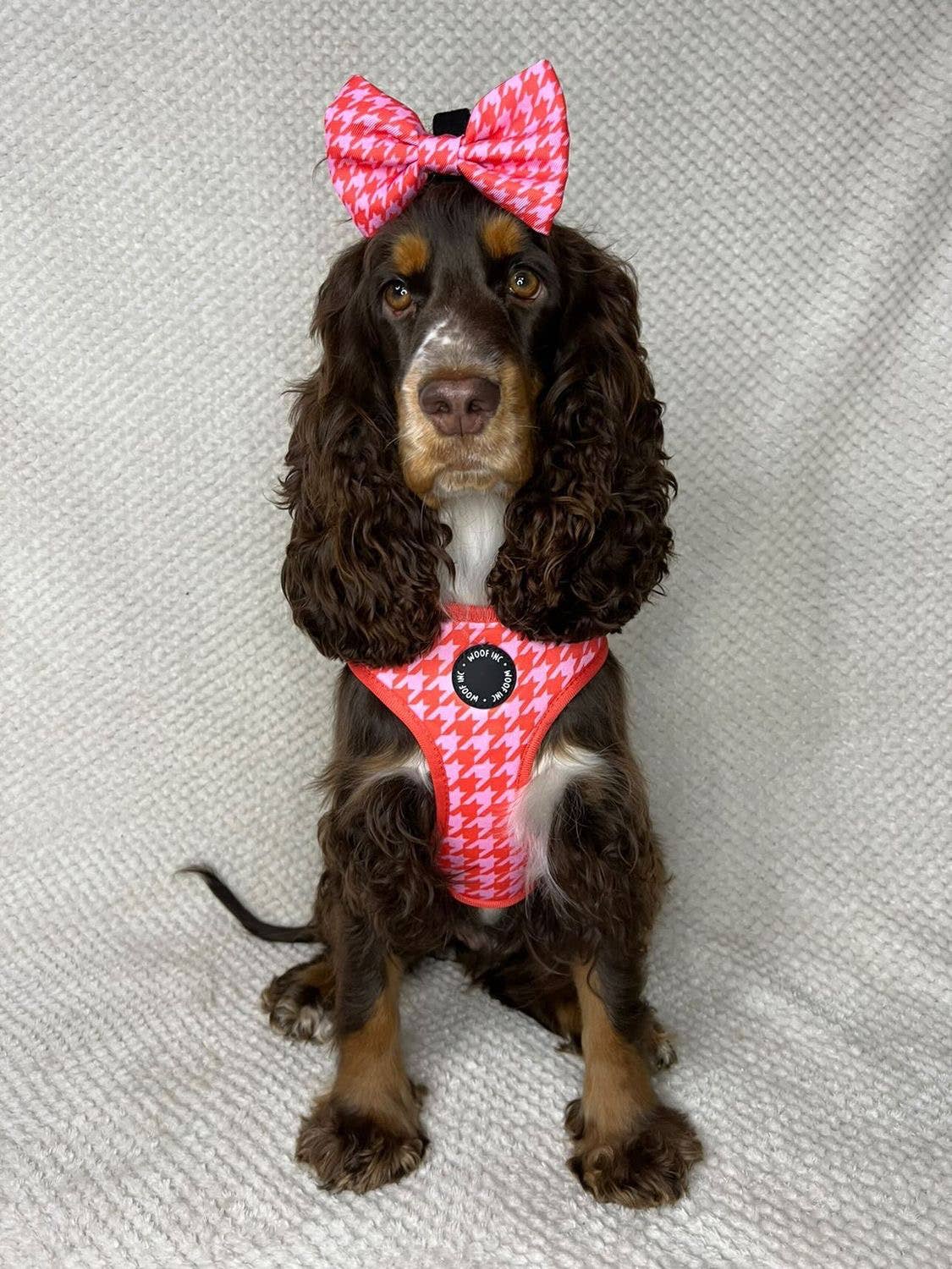 WOOF INC - Wholesale Pet Harness - Dog - Red & Pink Houndstooth Adjustable Dog Harness6