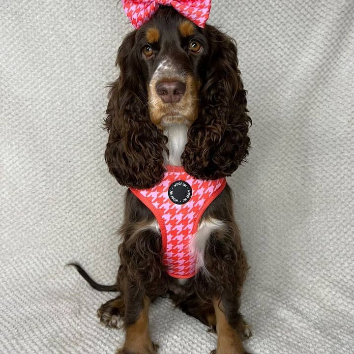 WOOF INC - Wholesale Pet Harness - Dog - Red & Pink Houndstooth Adjustable Dog Harness6