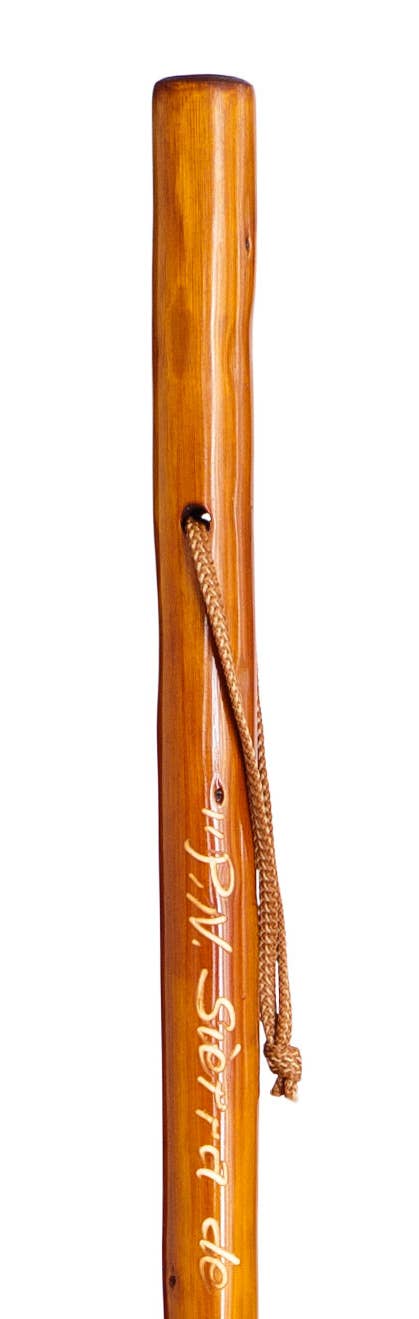 Segorbina BASTONES - Wholesale Sporting Accessories - Dark varnished chestnut mountain stick3