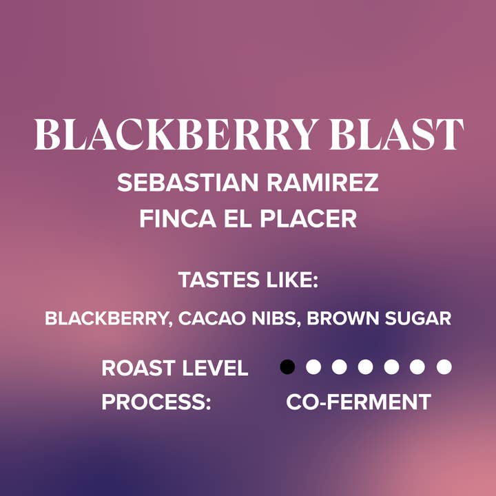 Colombia • Brombær Eksplosion • Engros for engroshandel hos Makeworth Coffee Roasters