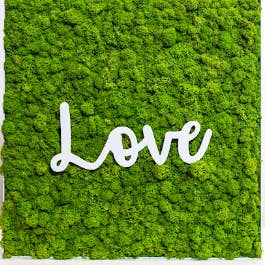 Mossroma - Wholesale Wall Accent - Stabilized frame: Reindeermoss with writing2