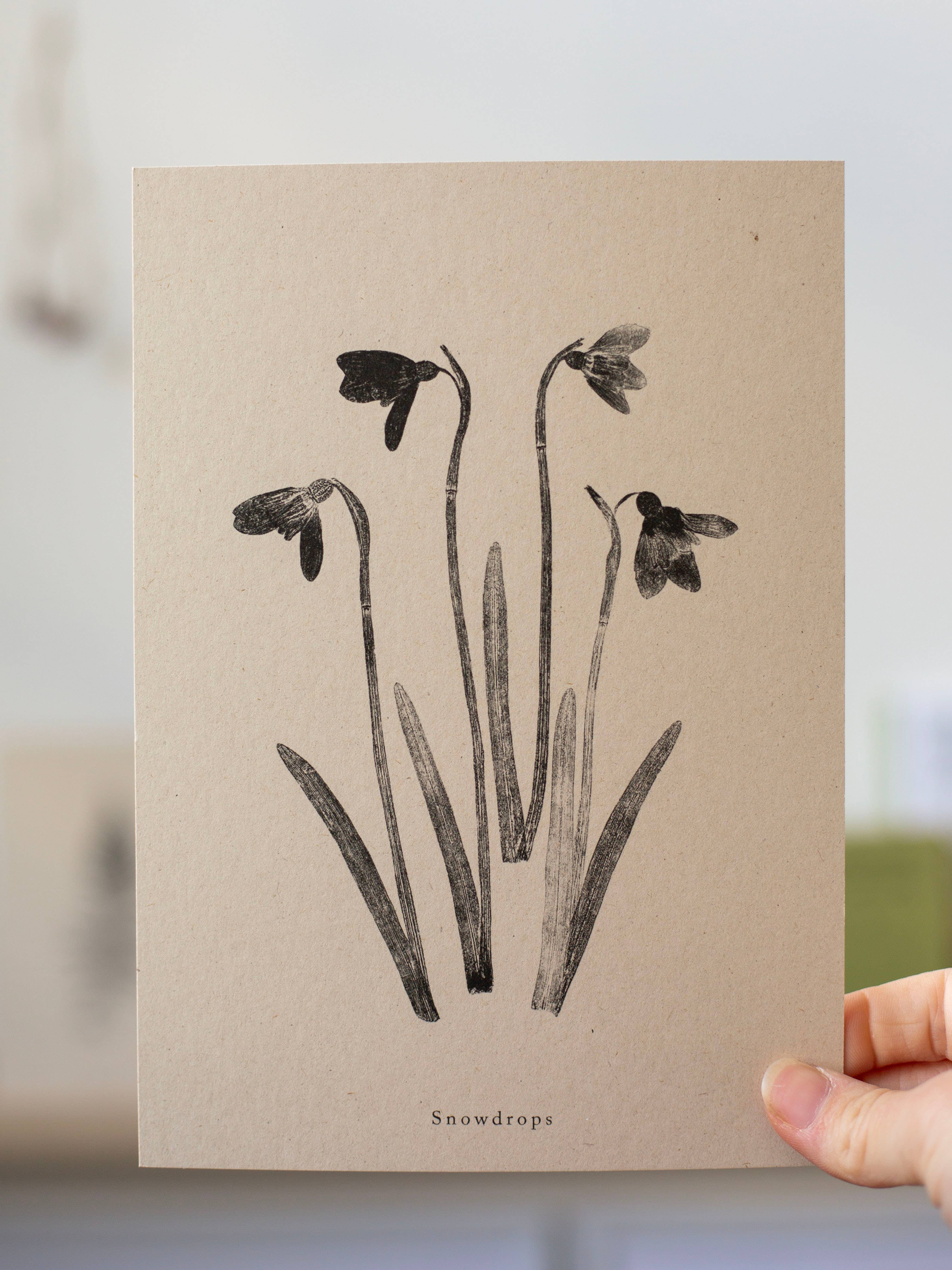Alicia Breakspear - Wholesale Art Print - Botanical Art Print A5 A4 A3 Snowdrops Flower 0