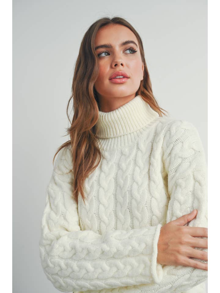 BUTTERMELON - Wholesale Knitted jumper – Women′s - Thick Braid With Turtle Neck Long-Sleeve Sweater - BMW716825