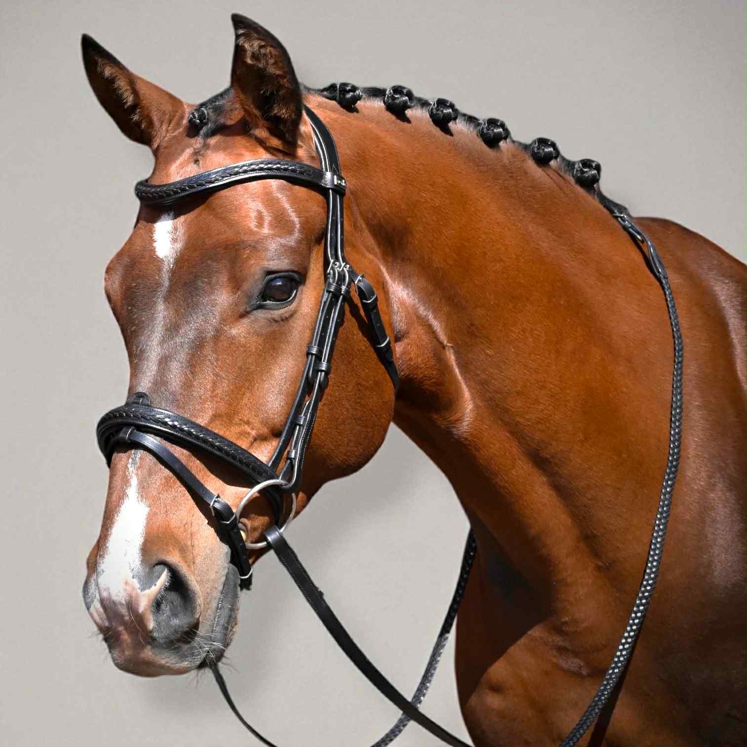 EPONIA EQUESTRIAN LIFESTYLE - Venta al por mayor Equipamiento de equitación - Brida con detalles clásicos trenzados en cuero italiano2