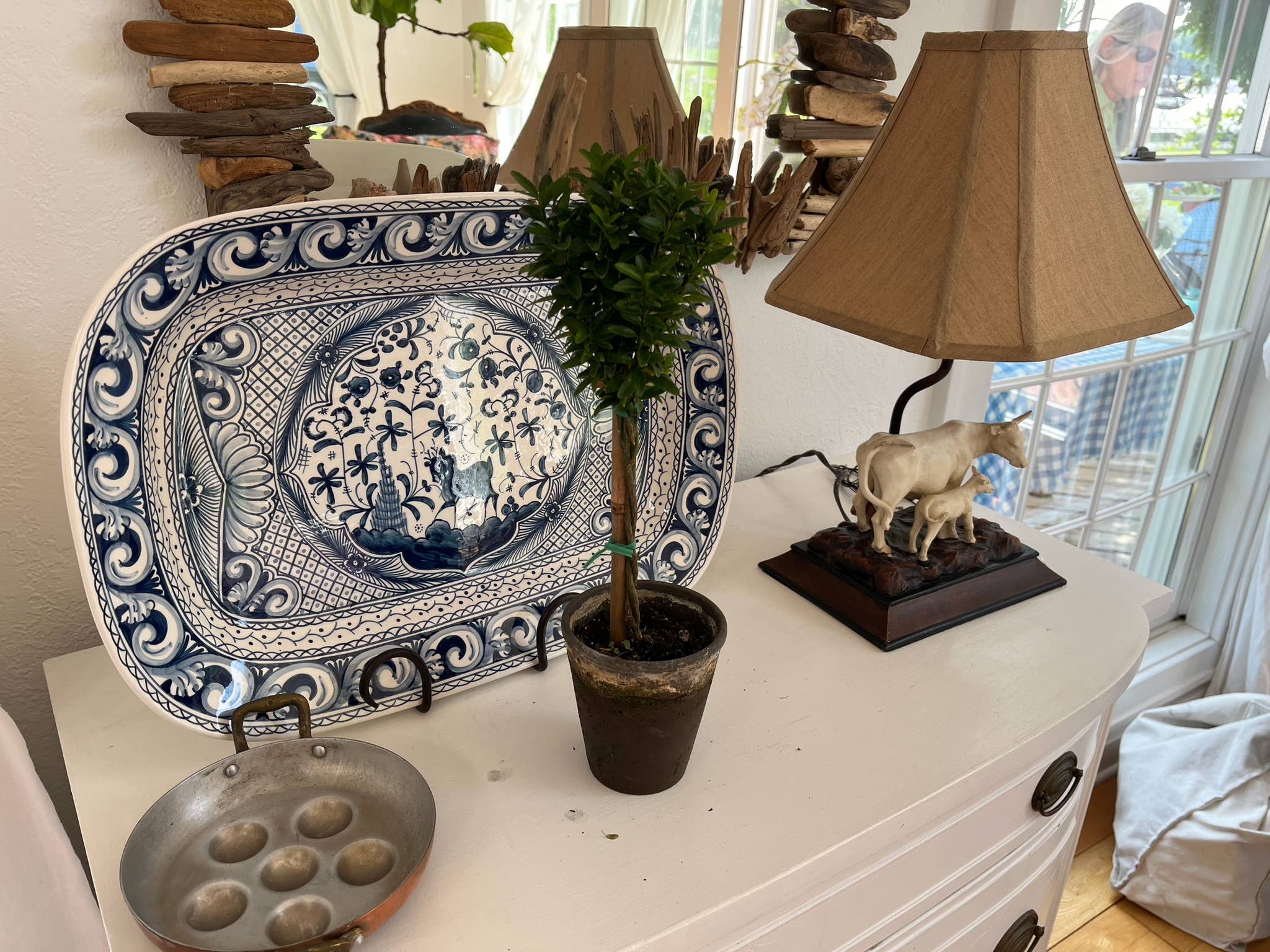 Sunrise Topiaries - Wholesale Live Plant - Live Euonymus Topiary in 4 inch pot2