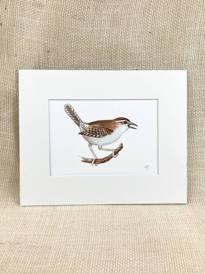Bewick's Wren Matted Print, Archival Print, Watercolor for wholesale by Streetlightbirds