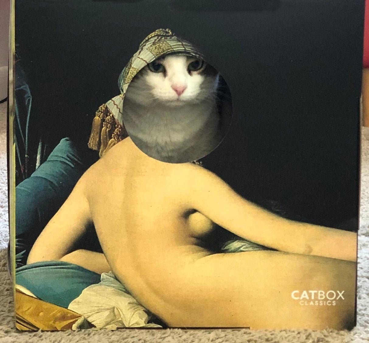 Cat Box Classics - Wholesale Pet Scratcher - Cat - Meow Masterpieces Cardboard Cat House with Scratcher2