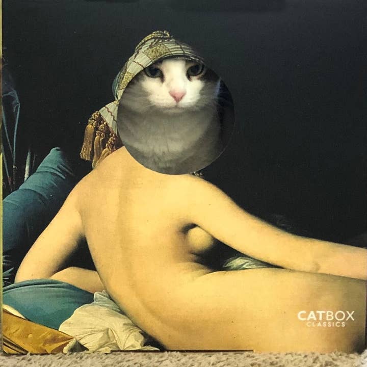 Cat Box Classics - Wholesale Pet Scratcher - Cat - Meow Masterpieces Cardboard Cat House with Scratcher2