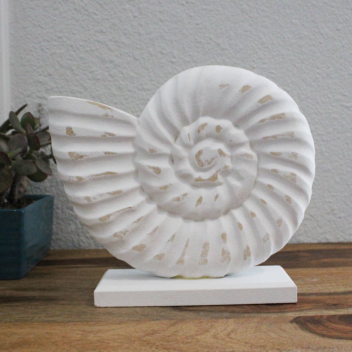 CB Home Collection - Wholesale Decorative Tabletop Object - 7.75" White Wash Nautilus Shell - Tabletop Decor2