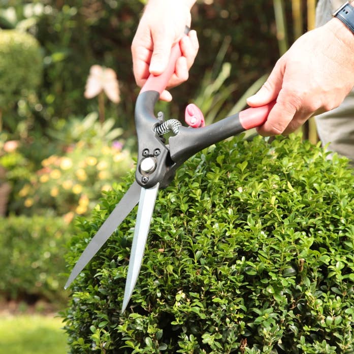Schnittzeiten – Großhandel Gartenwerkzeug – Buchsbaumschere groß
