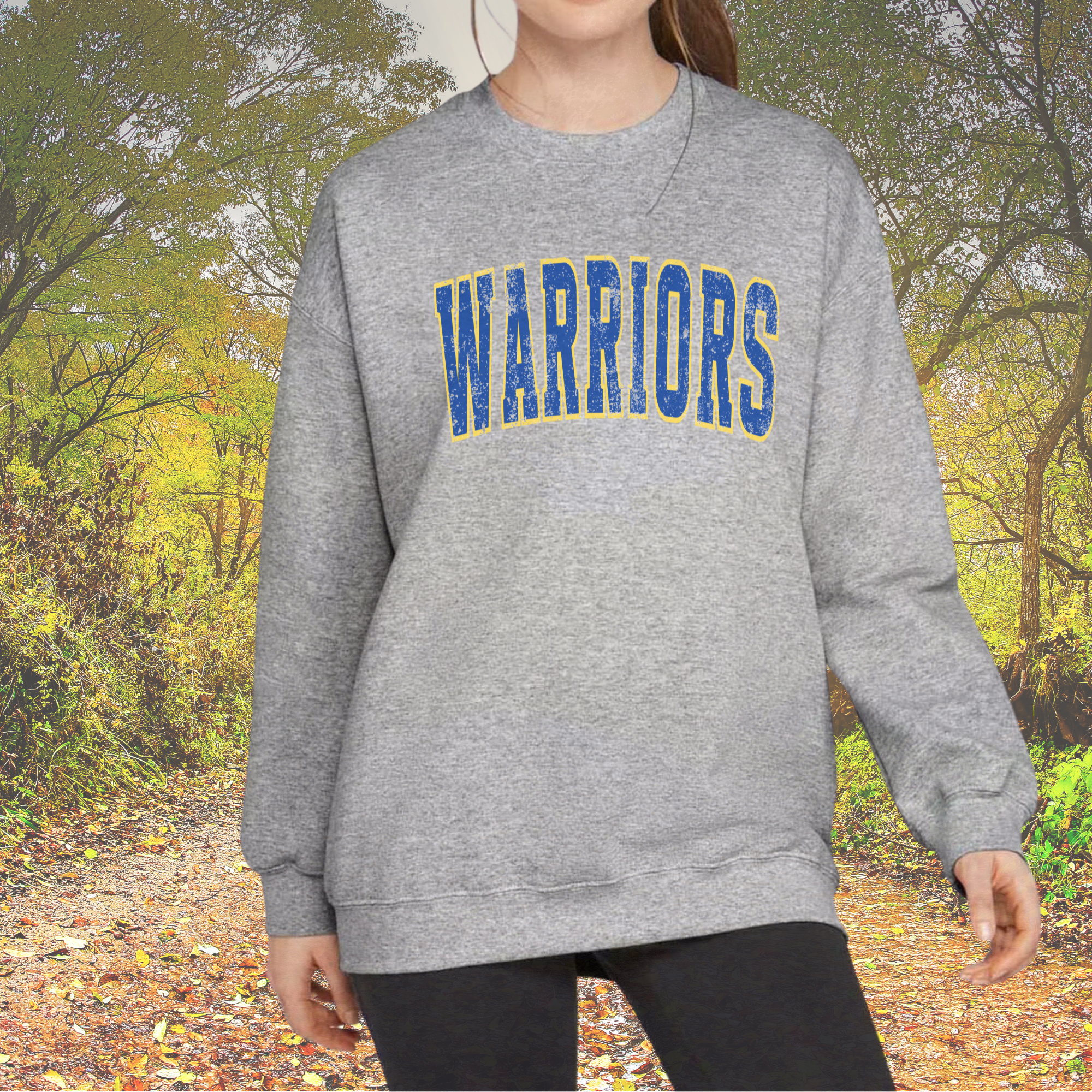 Fan Gear Central - Wholesale Graphic Sweatshirt - Unisex - Warriors Sweatshirt – Gray Classic Graphic Crewneck2