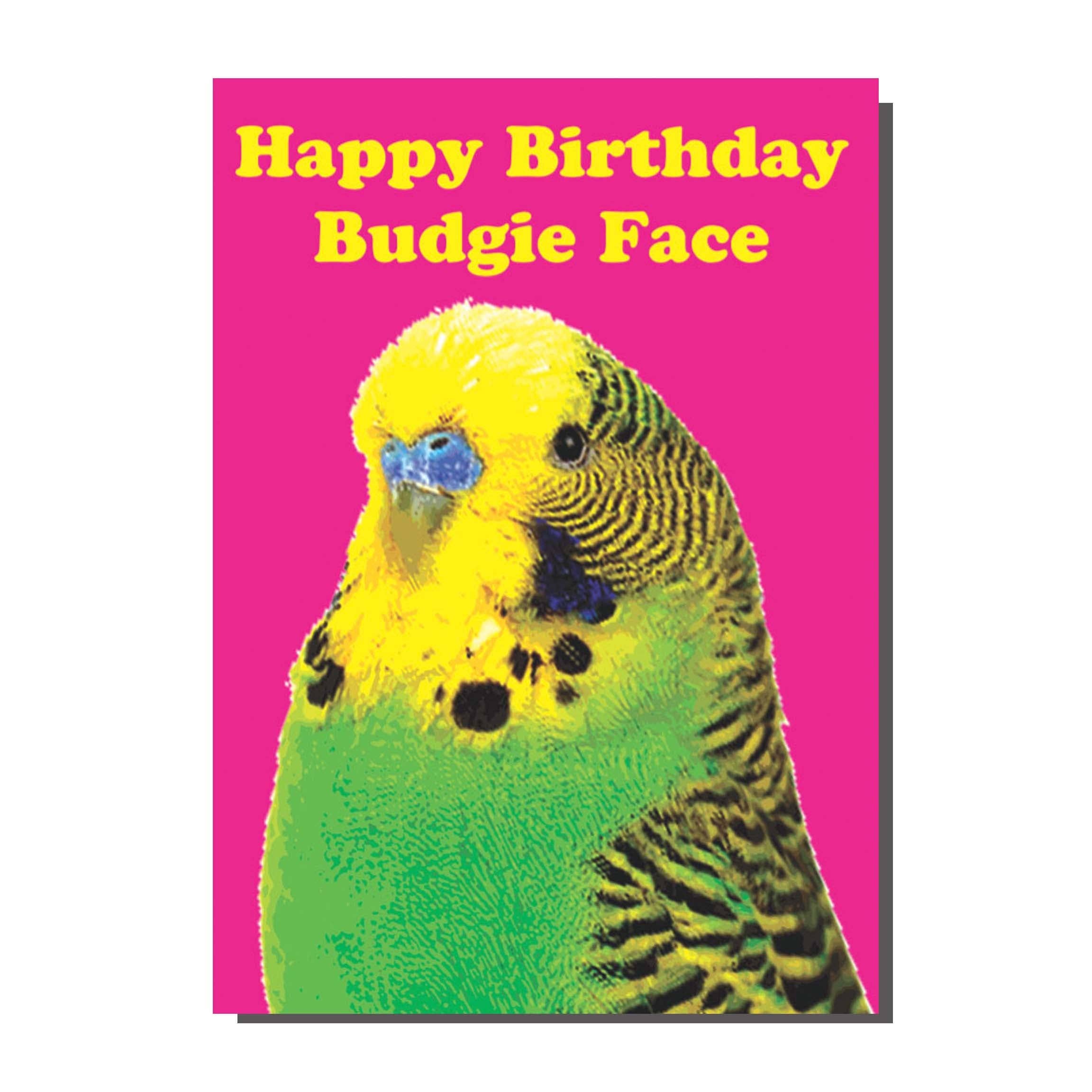 Bite Your Granny – wholesale Birthday card – TP037 Happy Birthday Budgie Face Card (pack of 6)0